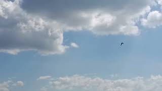 Silent Clouds Drifting Across The Sky | No Sound | Nature Visual Documentary