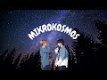 VMIN&#39;s Soundtrack - Mikrokosmos  | BTS (방탄소년단) Jimin And Taehyung Are Soulmates