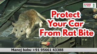 Save Your Car From Rat Bite | Protect Your Car From Rat Bite | Protect Car &amp; Bike Wires From Rat