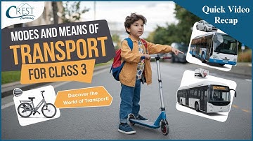 Modes of Transport for Class 3 | Land, Water & Air | Science Olympiad Prep