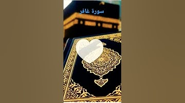 قرآن كريم أرح قلبك قليلاً #quran سورة غافر أكتب شيء تؤجر عليه