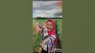 Bugis lucu tik tok