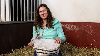 Zo kun je een konijn tam maken - Natuurboerderij de Brinkhorst in Amersfoort