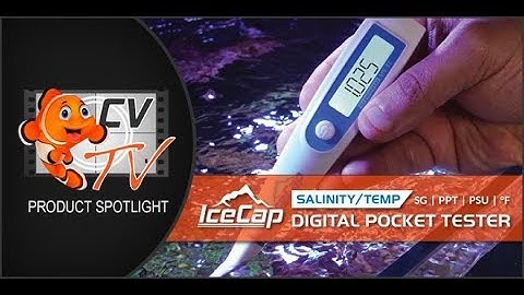 IceCap Salinity & Temperature Digital Tester
