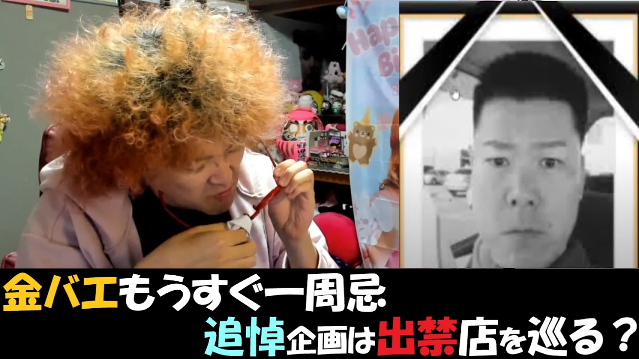 【野田草履P】金バエが、もうすぐ一周忌。02月25日 #金バエ #野田草履P