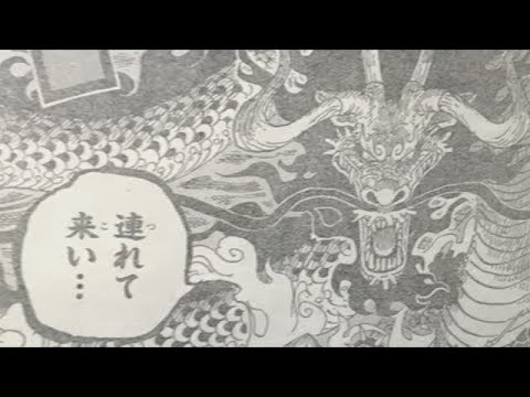 One Piece Chapter 921 Live Reaction The True Form Of The King Of Beasts Revealed ワンピース Youtube