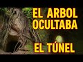 ¡Encontré un TÚNEL SECRETO en un Bosque de MÉXICO! 🌲😱