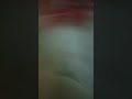 29 сентября 2025 г.