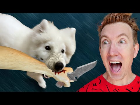 My Puppy Attacked