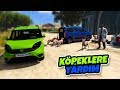 Ticari Arabalar ile Sevimli Köpeklere Yardım Ediyoruz - GTA 5