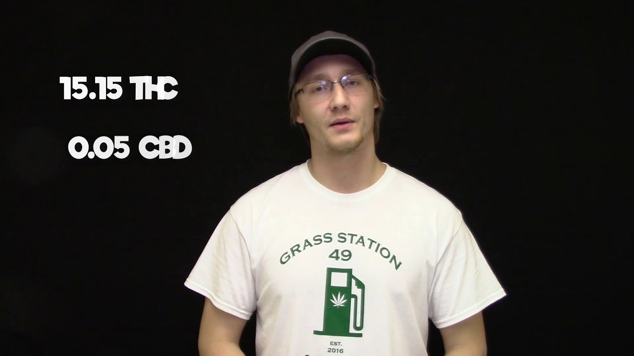 Kimbo Kush - Marijuana Strain Review