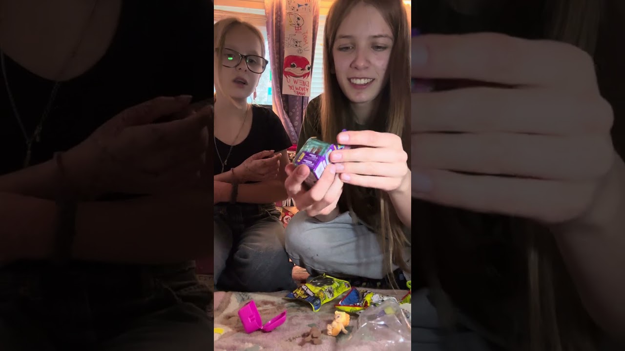 Super cool early 2010 blind box video featuring :  shopkins, ugly pet shop, twozies