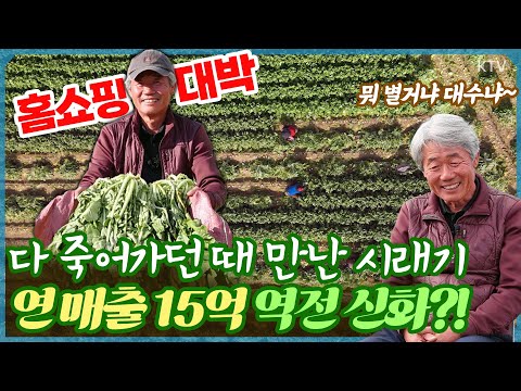 홈쇼핑 대박에 글로벌 진출까지🎉<strong>인생</strong> 완전히 바꾼 귀농 20년 차 농부 노하우! 펀치볼 마을의 시래기 <strong>혁명</strong> #부자 #귀촌