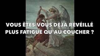 7- La "loi" du karma pour les "nuls" #1 Cameron Day 2013 - Fausse Lumière démiurgique