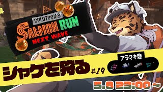 【サーモンランNW/参加型/アラマキ/＃19】バイター達よFly high！【樫城槌/Vtuber】