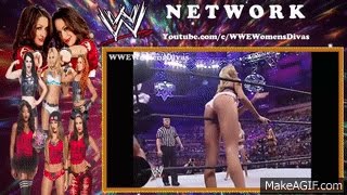 Playboy Evening Gown Match WrestleMania 20