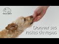 Bêtes comme tout : donner ses restes de repas