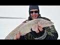 ПЕРВАЯ РЫБАЛКА 2021 ПРИНЕСЛА СЮРПРИЗ! Зимняя рыбалка на судака, рыбалка в Сибири