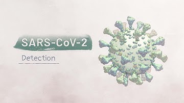 Biology of SARS-CoV-2: Detection | HHMI BioInteractive Video