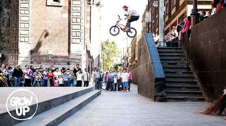 BMX / GROW UP  AARON ROSS