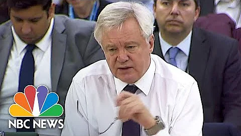 Minister David Davis Admits Brexit Impact Assessments Do Not Exist | NBC News