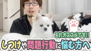 犬のしつけや問題行動に悩む方へオススメの本