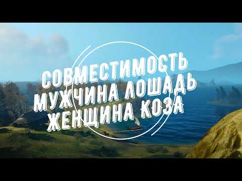 Совместимость мужчина Лошадь и женщина Коза