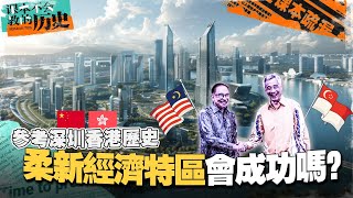 柔佛和新加坡一起成立经济特区，可行吗？借鉴“深圳—香港模式”来预测未来！【#课本不会教的历史 EP14】