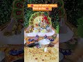कान्हा मेरी सांसों में अपना नाम लिख लेना #laddugopal #sort कृष्णा भोग#कृष्णा सेवा#laddugopalstatus