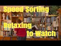 Speed Sorting | Relaxing to Watch