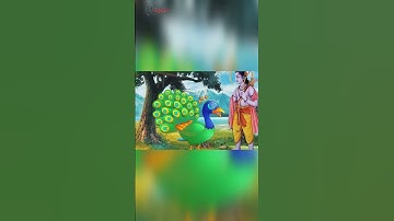 Why did Lord Krishna wear a peacock feather in his crown? #krishna #factsinhindi #devotionalfacts