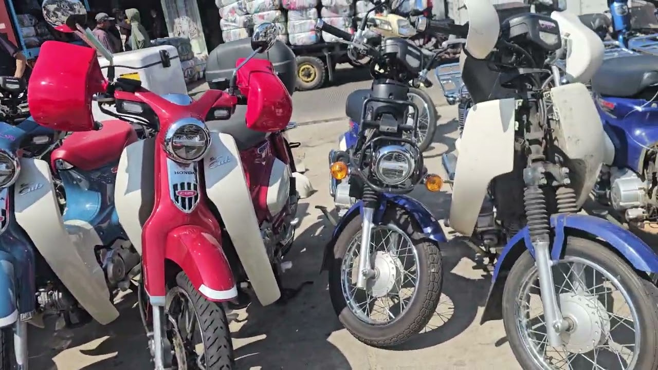Honda monkeys from Japan - YouTube