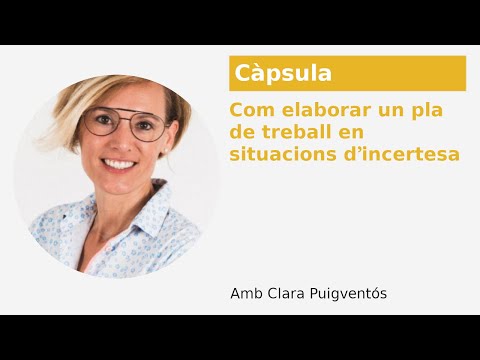 Vídeo: Com Elaborar Un Pla De Treball