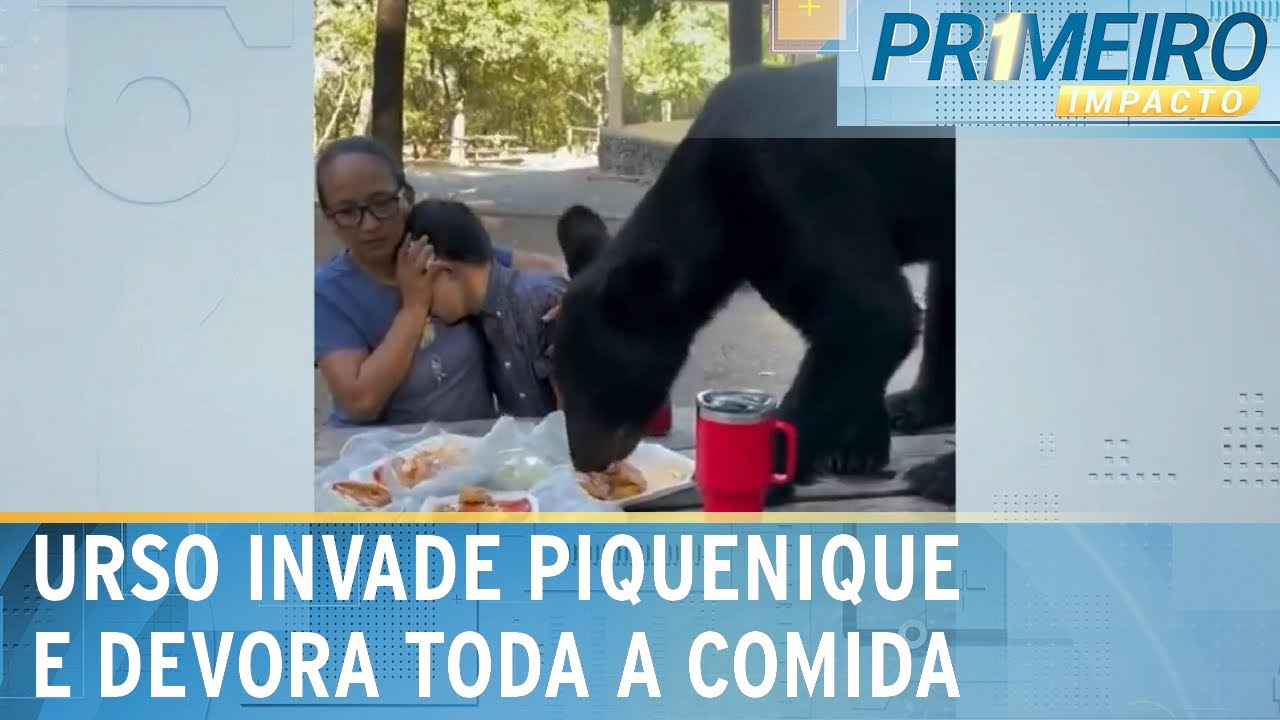 Urso devora comida de mãe e filho durante piquenique em parque | Primeiro Impacto (26/09/23)