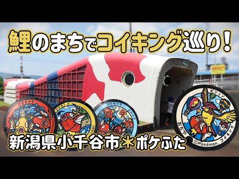 Vlog】ポケモンマンホールポケふた！新潟県唯一設置の小千谷市で鯉と