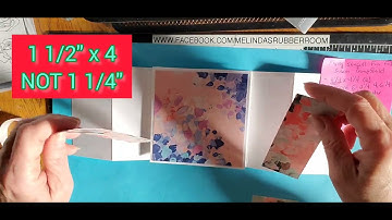 Flying Seagull Fun Fold Card tutorial