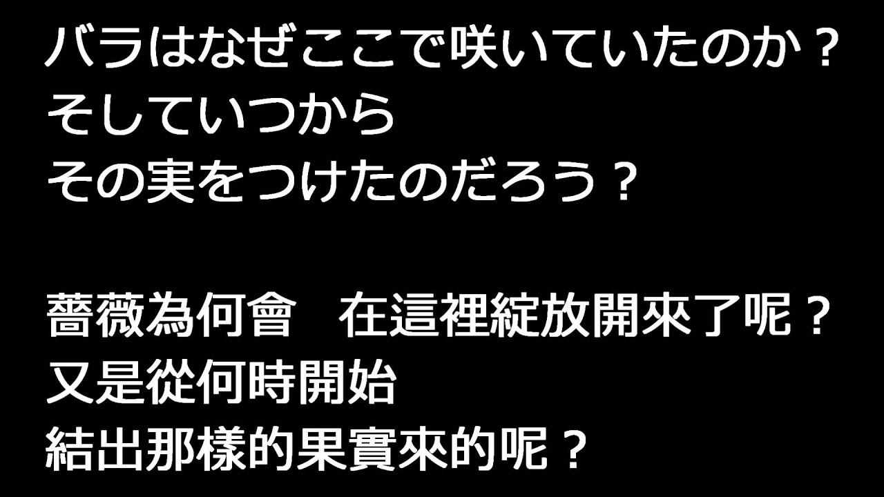 意味 白 日 歌詞