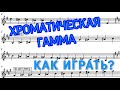 КАК ИГРАТЬ хроматическую гамму