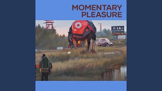 Cover Momentary Pleasure