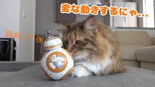 スターウォーズ BB-8と猫の会話が可愛いかった!...