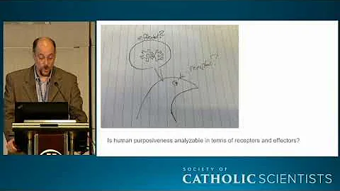 "Deep Learning, Purpose, and Entropy," Timothy And...