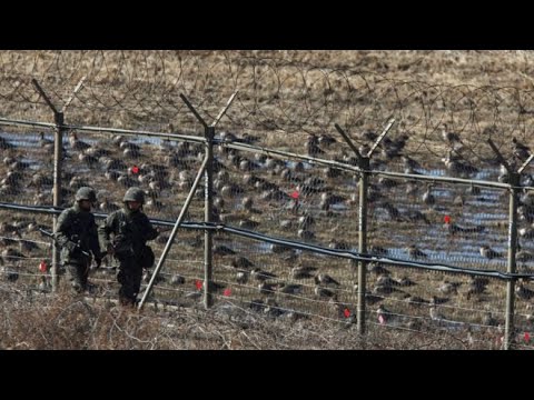 Video: Jalur Pendakian Sedang Dibangun Di Zona Demiliterisasi Antara Kedua Korea