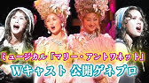 花總まり ソニンが美声響かせる ミュージカル マリー アントワネット 公開ゲネプロ Youtube 花總まり ソニンが美声響かせる ミュージカル マリー アントワネット 公開ゲネプロ Youtube