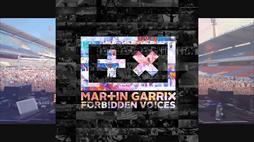 Martin Garrix-Forbidden Voices