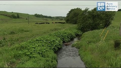 Priority Catchment Inspections - Part 4: What to look out for in your livestock fields
