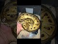 #animals #phyton #happy #snakeworld #ballphyton #animalshorts #live #liveanimals #snakes #ball