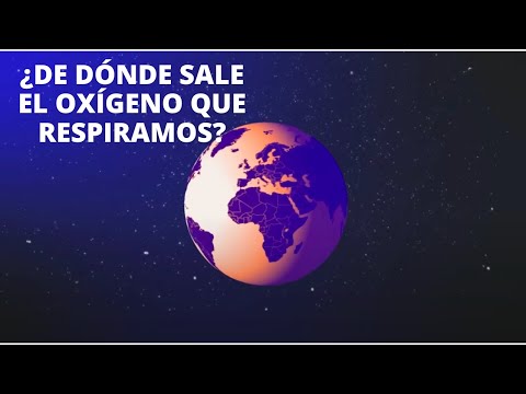 Video: ¿De dónde proviene el oxígeno en la fotosíntesis?