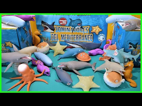 Video: Construyendo un ‘Buscando a Nemo’ o Buscando a Dory Fish Tank