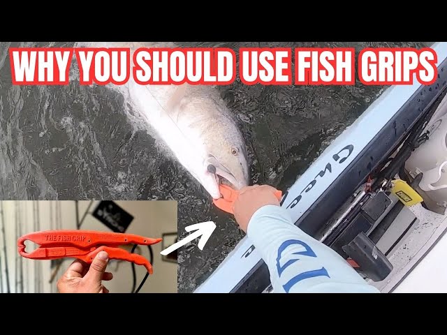 Why You Should Use Fish Grips To Safely Handle Your Catch 