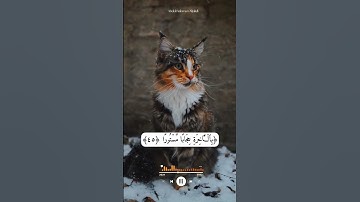 محبي الشيخ يوسف العيدروس/راحة النفسيه أيات من سورة الإسراء ﴿٤٥﴾أرح قلبك 🤲🌺💯❄️